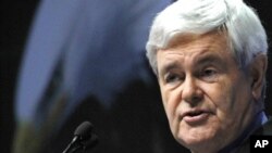 Поранешниот спикер на Претставничкиот дом Њут Гингрич.