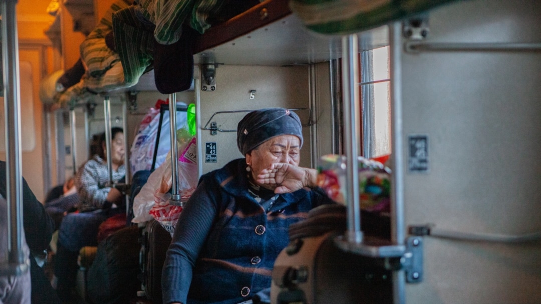 Порно ли ай онлайн