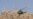 Russia Denies Afghan Helicopters Inflated