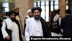 ملا عبدالغنی برادر مسئول دفتر سیاسی طالبان در قطر