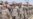 Extra U.S. Troops Expected In Afghanistan By Mid-July