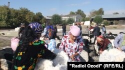 Workers try to salvage what they can from bales of cotton damaged in a fire at a factory owned by the prominent Tajik religious and political figure Hoji Akbar Turajonzoda in Vahdat city.