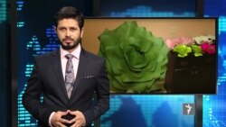 تازه ترین های جهان در ستودیوی آزادی