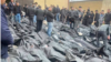 Grieving relatives searching for their loved ones among piles of bodies outside the Tehran Province Forensic Diagnostic and Laboratory Center in Kahrizak, Iran, are shown in UGC images posted on social media on January 13.