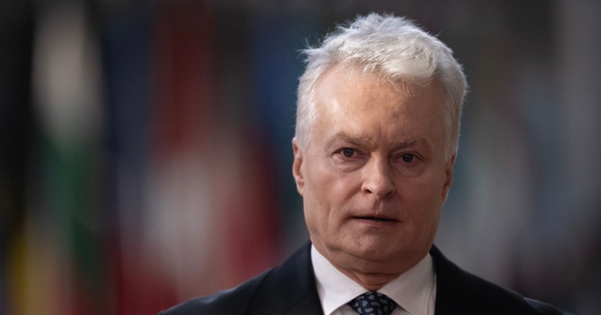Президент Литви обговорив з Будановим оборонну співпрацю та безпеку