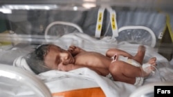 A newborn in an Iranian maternity ward. An RFE/RL investigation has uncovered online advertisements offering for adoption for hundreds of dollars. (file photo)