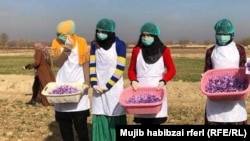 آرشیف، عکس جنبه تزئینی دارد