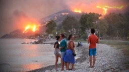Лесные пожары в Турции, август 2021 года