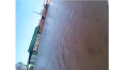 Паводок в селе Зеленый дол Петропавловского района Алтая. Видео Светланы Козловой