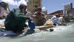 د زمرودو لټون