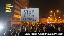  Protest față de tăierea ilegală a pădurilor, în noiembrie anul trecut, organizat la București