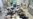 WHO Says Bird-Flu Outbreak 'Unprecedented'