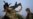U.S. Soldiers Killed By Afghan On Base