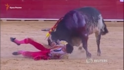 В Испании впервые за 30 лет бык убил матадора (видео)