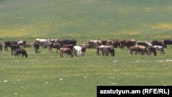 Արխիվային լուսանկար