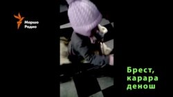 Брест - мухIажиршка яккха ца луш йисина гIап