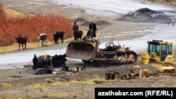 Daşoguz welaýatynda oba hojalyk önümlerini öndürijilere tehnikalaryň 663 sanysy berildi. 