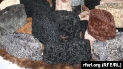 آرشیف، عکس جنبه تزئینی دارد
