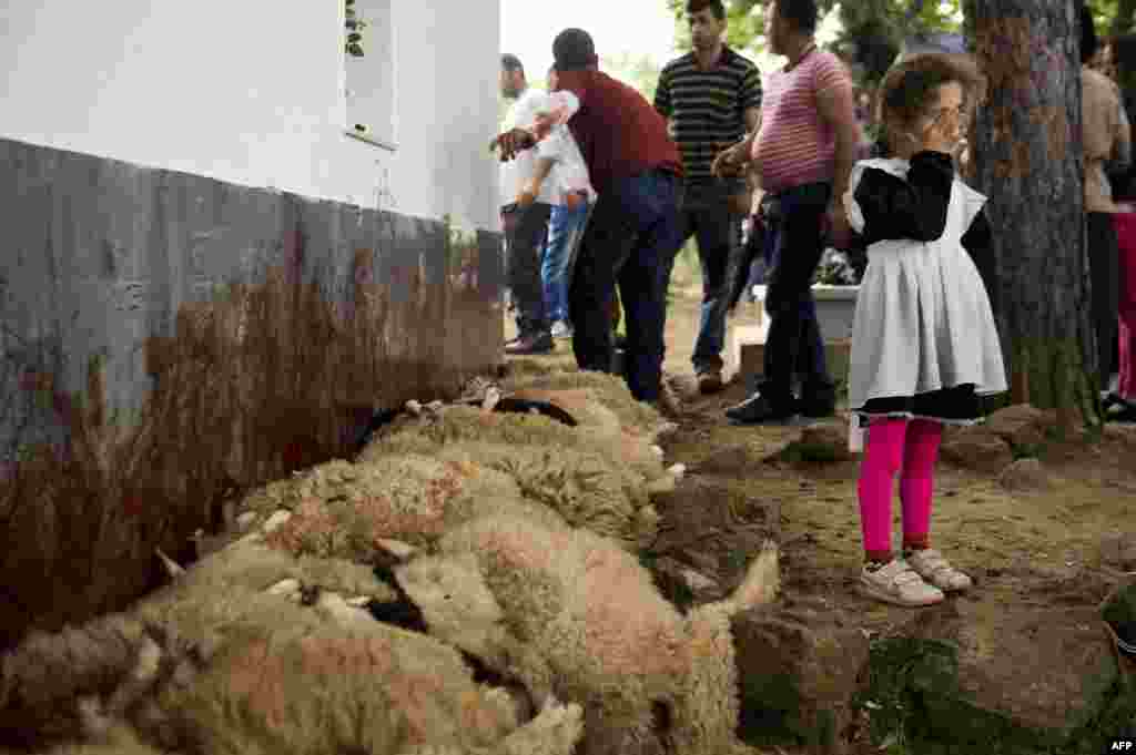 Sacrificarea oilor de Sf.Gheorghe, satul Babaj Bokes, Kosovo