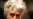 Karadzic Calls For Rights Of Friends To Be Restored