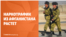 Наркотрафик из Афганистана увеличивается, дочь Жапарова вышла на публику