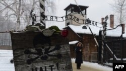 Un trandafir pe semnul de la intrarea în fostul lagăr al morţii Auschwitz-Birkenau, din Oswiecim, Polonia.