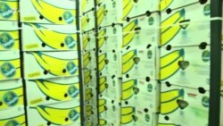 Հարձակման են ենթարկվել բանան ներկրող գործարարի պահեստները