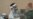 Guantanamo Confession Requests Raise Questions