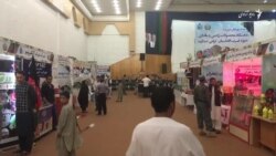 نمایشگاه محصولات زراعتی و مالداری در هرات برگزار شد