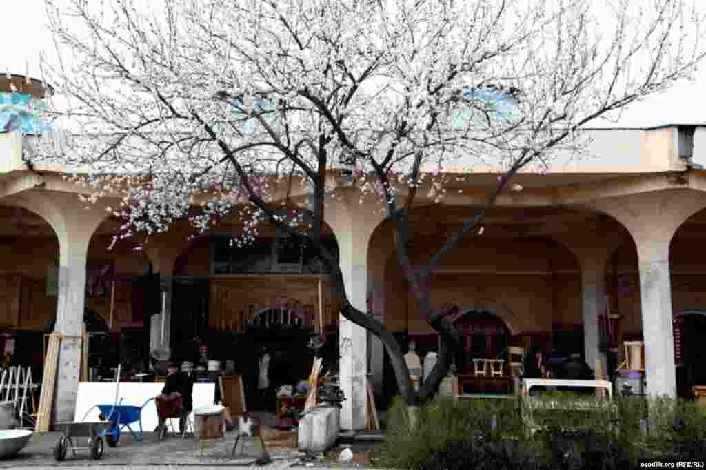 Uzbekistan - spring in Tashkent, 