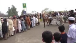 بری د تیری نام په نصیب شو