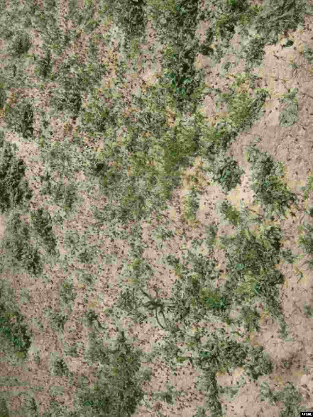 Ҳамлаи малах ба Хатлон #13