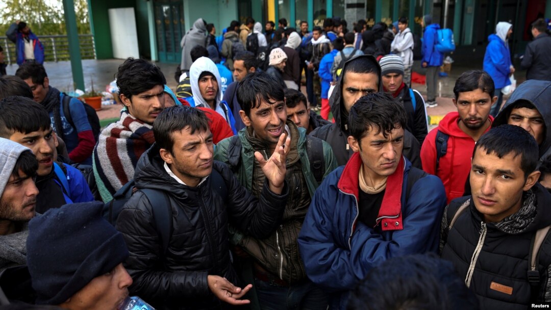 Beč će sa drugim centralnoevropskim zemljama "stvar uzeti u svoje ruke": izbeglice i migranti kod Inđije u Srbiji
