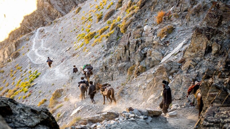 Ооган кыргыздары Тажикстанга өтүп жатканда эки ымыркай чарчап калганы кабарланды