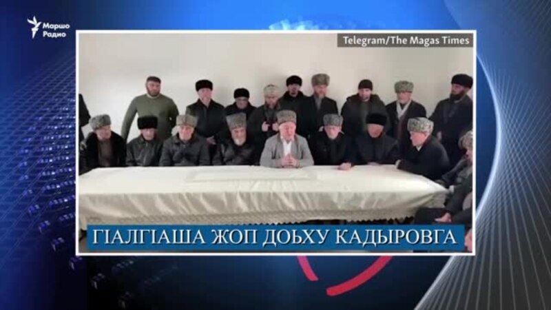 Кадыровга гIалгIайн шога дIахьедар, 71 шо долчу адвокатах 