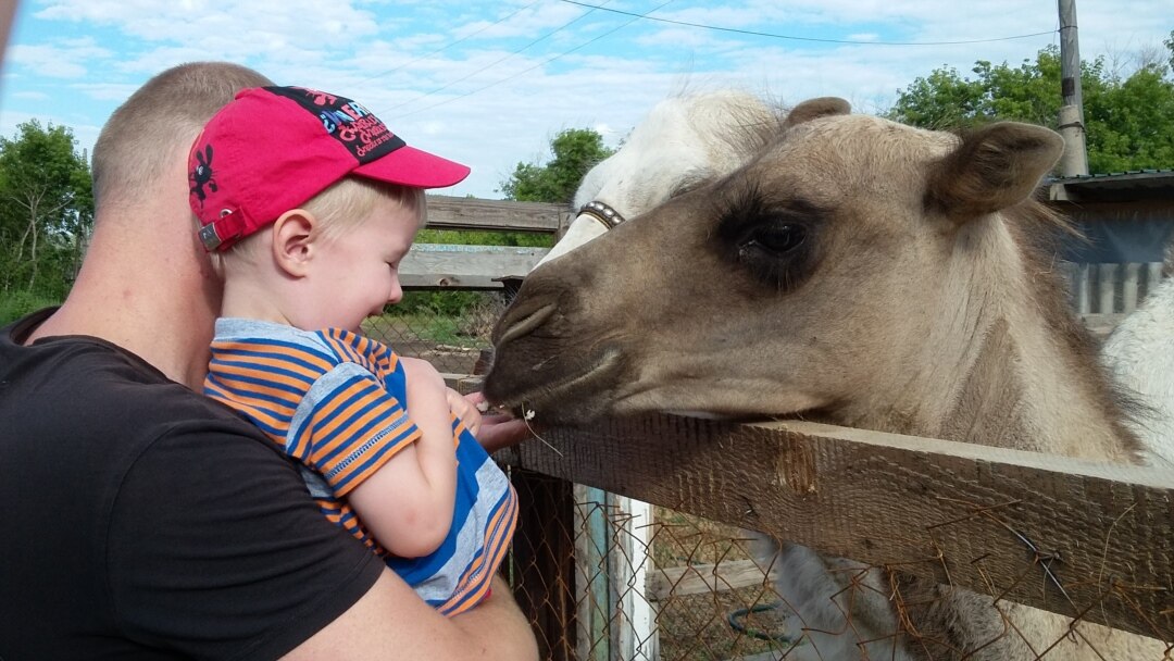 Ресейлік тележүргізушілердің юбкасының астындағы киска Араб порно жасырын камера жетілген