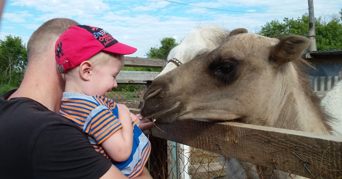 Жігіттердің мүшесін мастурбациялау Бавариялықтың суреті