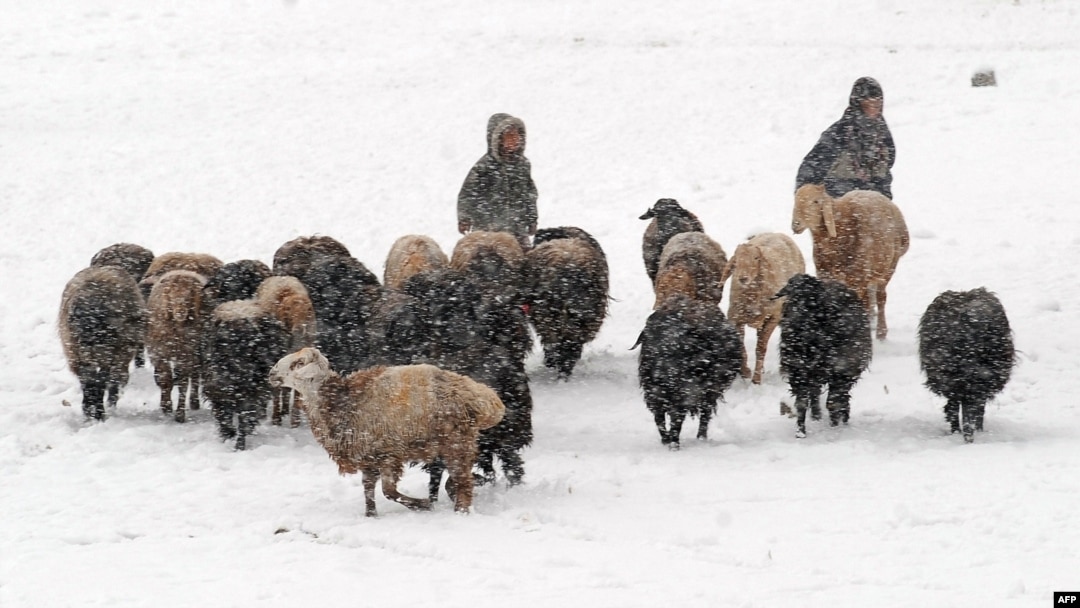 Yalangoch erotik glamur galereyalari