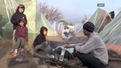 Германија не сака да презема деца мигранти од Грција