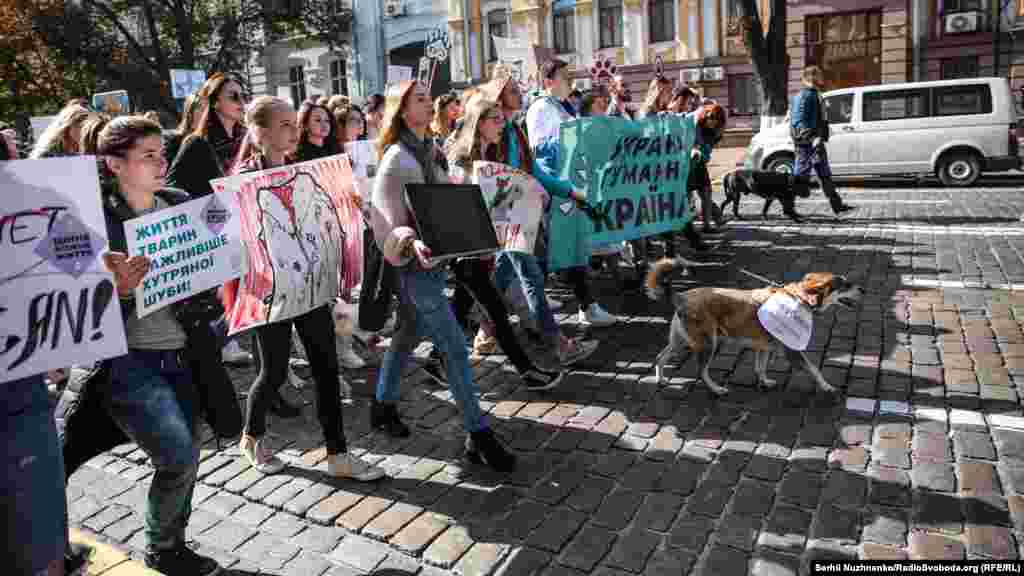 Ходу людей &laquo;очолив&raquo; пес :)