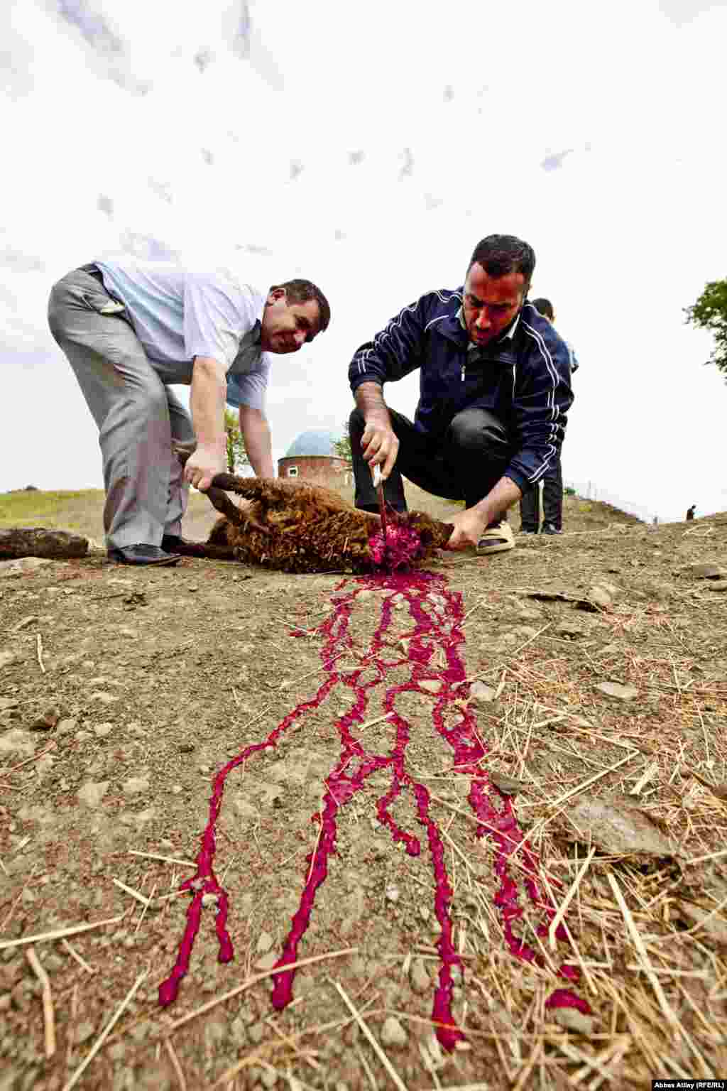 Yardımlı rayonu. Qurban kəsmə mərasimi