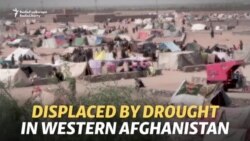 Afghans Flee Villages As Drought Devastates Crops