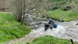 Activiștii spun că posesorii de vehicule off-road perturbă întreg ecosistemul din păduri și mai ales din zonele protejate.