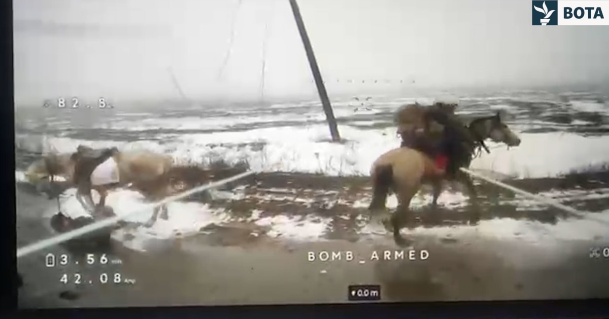 Dronët ukrainas shënjestrojnë ushtarët rusë mbi kuaj