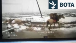 Dronët ukrainas shënjestrojnë ushtarët rusë mbi kuaj