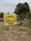 'Od toga živim': Stočari u Srbiji u strahu zbog afričke kuga svinja