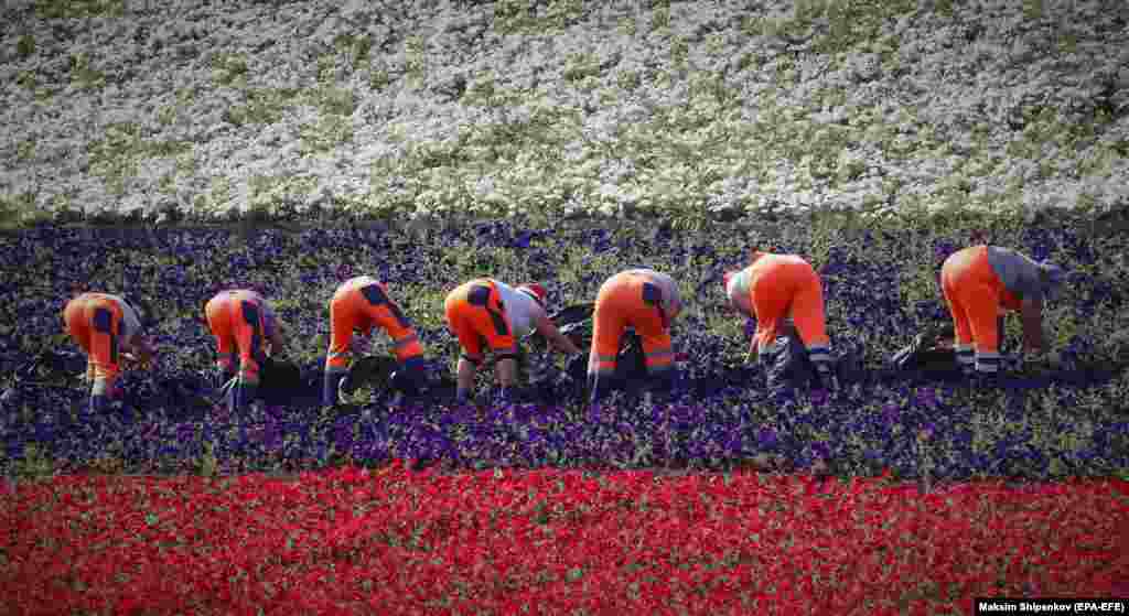 Gardeners work to plant flowers in the colors of the Russian flag on Moscow&#39;s Poklonnaya Hill.&nbsp;