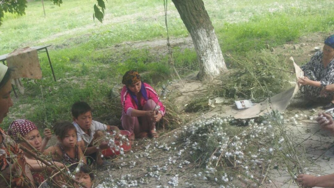 Oryol porno tomosha qiling Yulduzli urushlar klon urushi porno