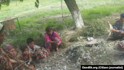 Eshak pornosidan kopirtirilgan krem