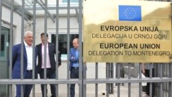 Radulović vs Delegacija EU